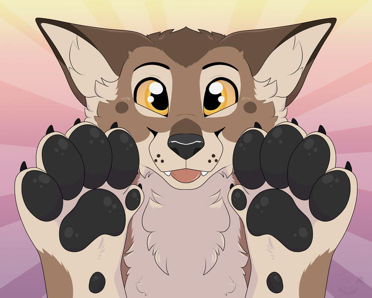 Paws Up! Paws Up!