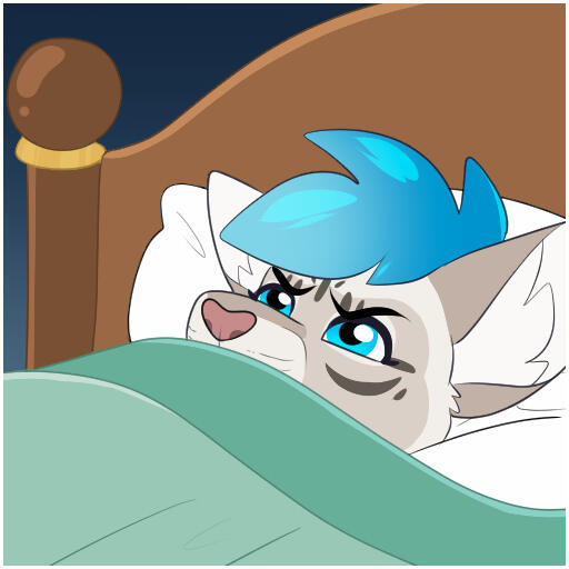 Kitts - Grumpy Bed Kitts - Grumpy Bed